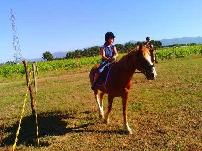 Gites et Chambres Hôtes le Le Mas Bazan Gîtes & Chambres d'hôtes à Proximité de Collioure prêt de Collioure cheval-nature-animaux-gite-vacances