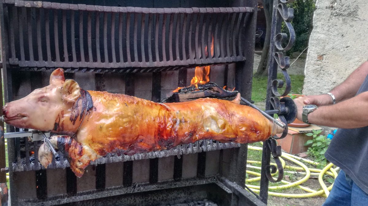 Gites et Chambres Hôtes le Le Mas Bazan Gîtes & Chambres d'hôtes à Proximité de Collioure prêt de Collioure barbecue-chambre-gite-repas-hote