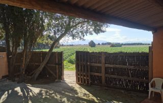 chambre-hote-charme-authentique-vue-mediterranee