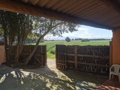 Gites et Chambres Hôtes le Le Mas Bazan Gîtes & Chambres d'hôtes à Proximité de Collioure prêt de Collioure chambre-hote-charme-authentique-vue-mediterranee