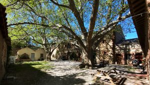 cours arborée chambres d'hôtes sous les platanes gites